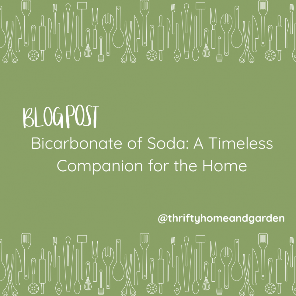 BLOG POST. Bicarbonate of Soda: A Timeless Companion for the Home