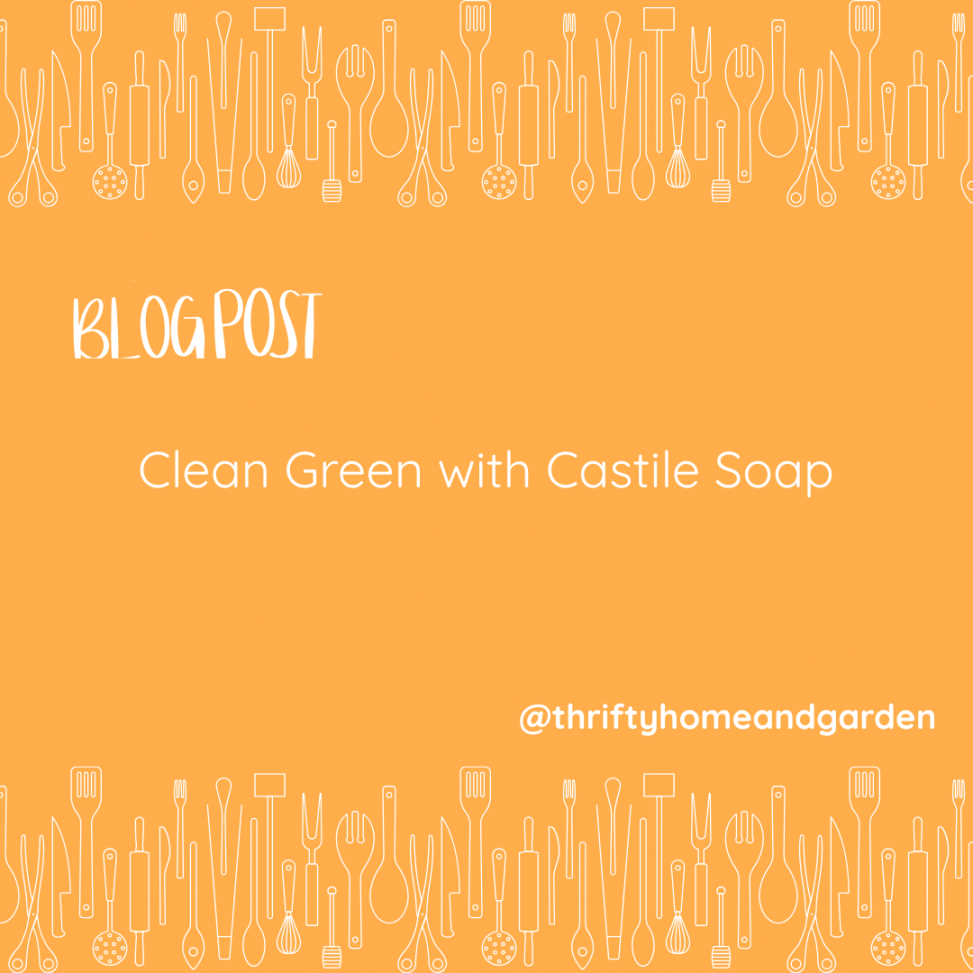 Blog Post. Clean Green with Castile Soap