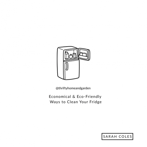 Economical & Eco-Friendly Ways to Clean Your Fridge