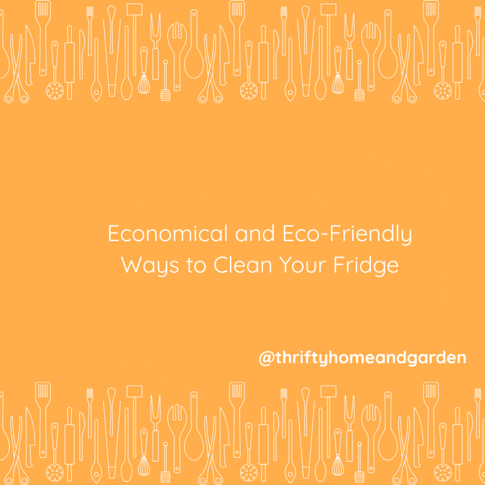 Economical and Eco-Friendly Ways to Clean Your Fridge