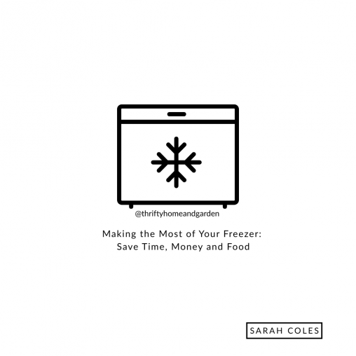 Making the Most of Your Freezer: Save Time, Money and Food