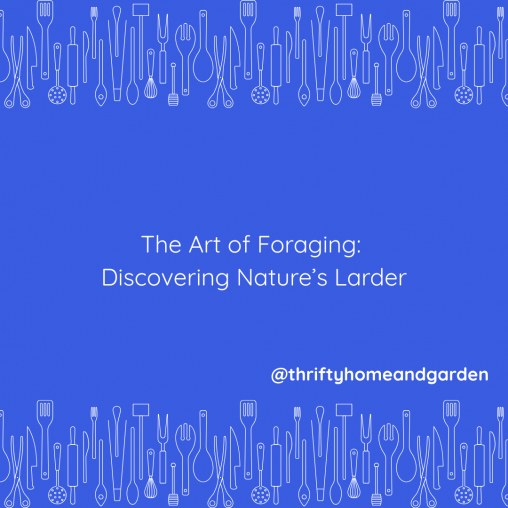 The Art of Foraging: Discovering Nature’s Larder