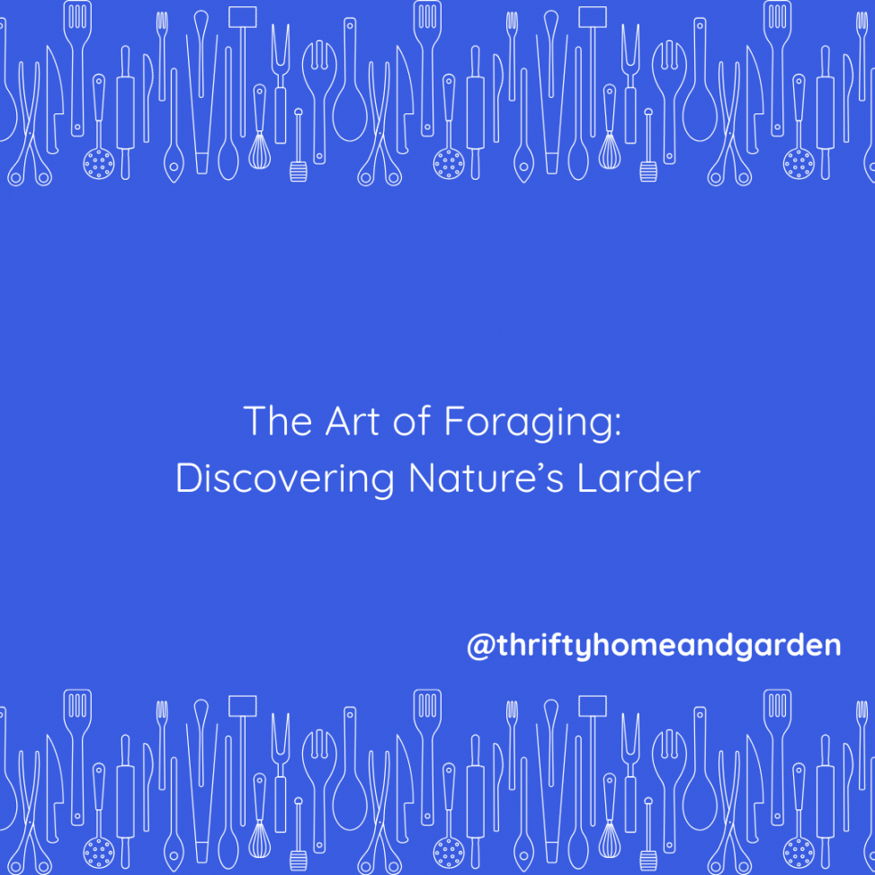 The Art of Foraging: Discovering Nature’s Larder
