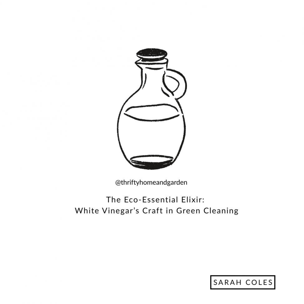 The Eco-Essential Elixir: White Vinegar’s Craft in Green Cleaning