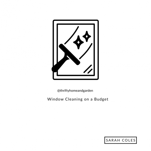 Window Cleaning on a Budget