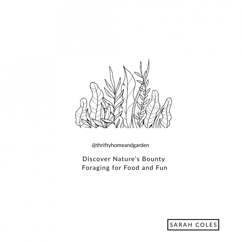Discover Nature’s Bounty Foraging for Food and Fun
