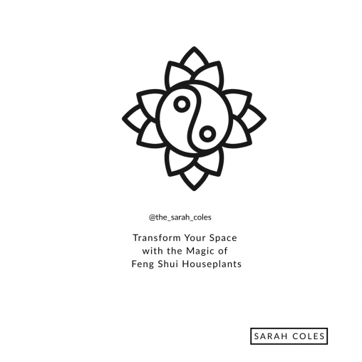 Transform Your Space with the Magic of Feng Shui Houseplants