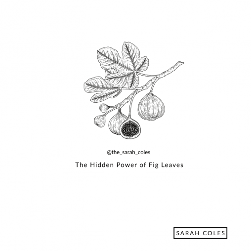 The Hidden Power of Fig Leaves