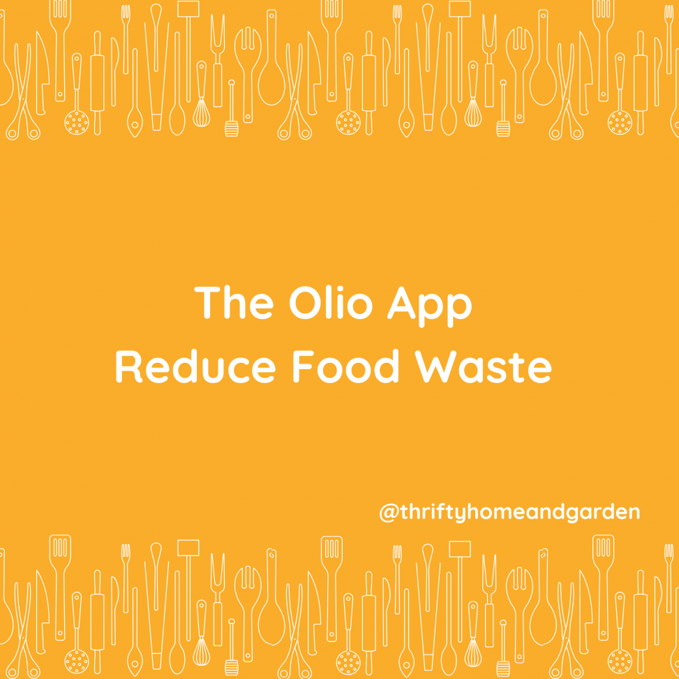 The Olio App. Reduce Food Waste