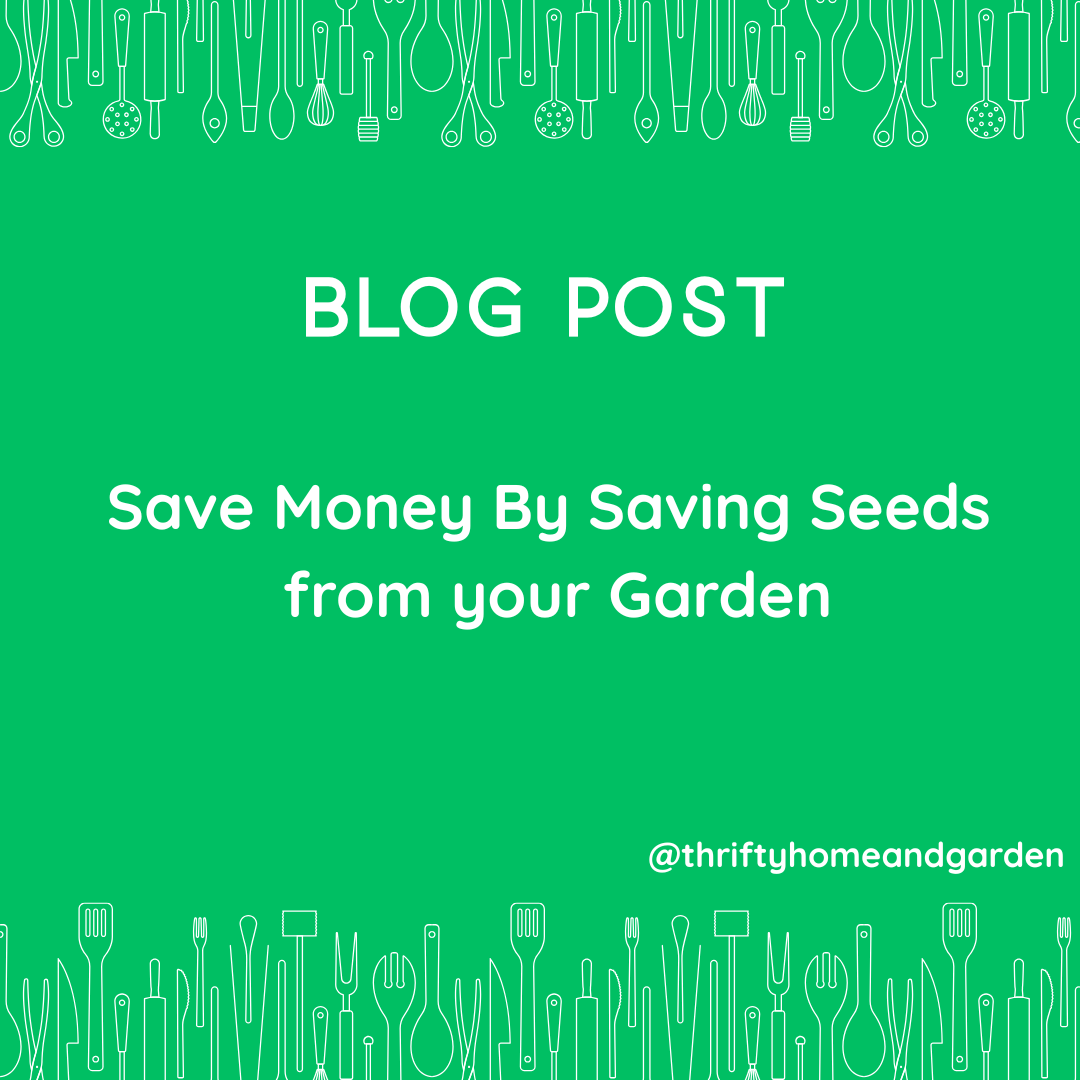 Save money by saving seeds from your garden Blog post., @thriftyhomeandgarden