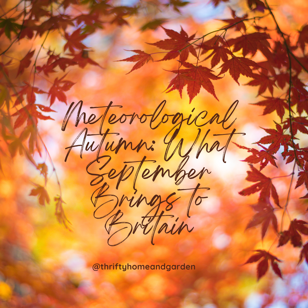 Meteorological Autumn: What September Brings to Britain
