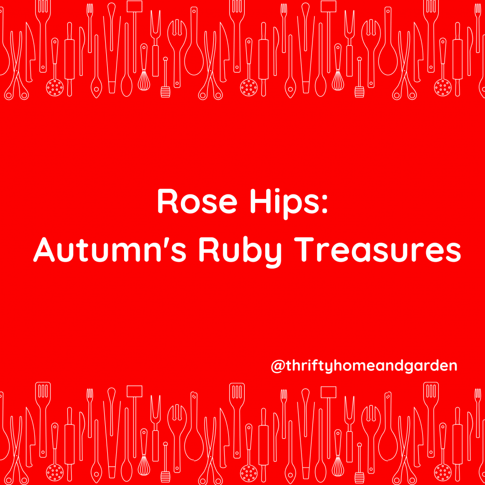 Rose Hips: Autumn's Ruby Treasures