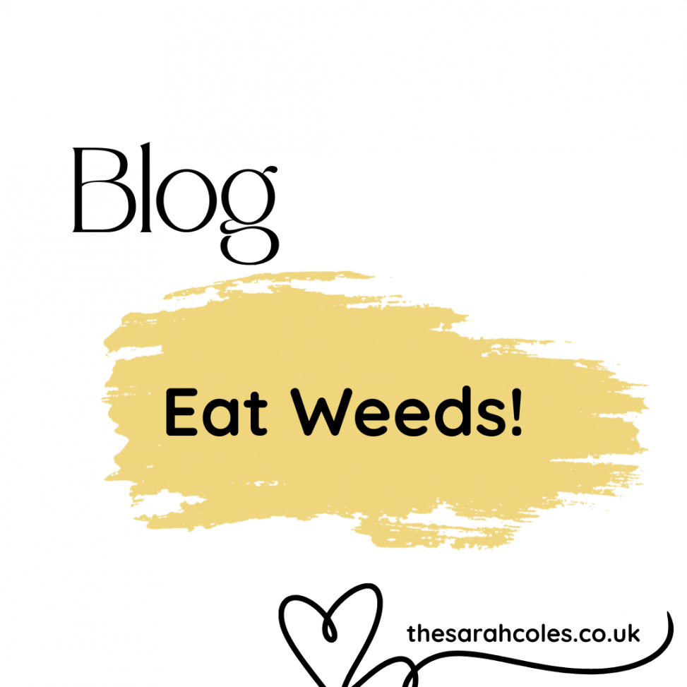 Eat Weeds!