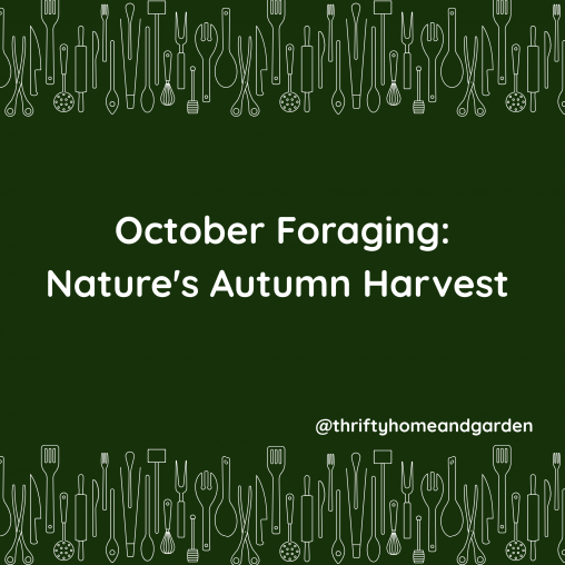 October Foraging: Nature's Autumn Harvest