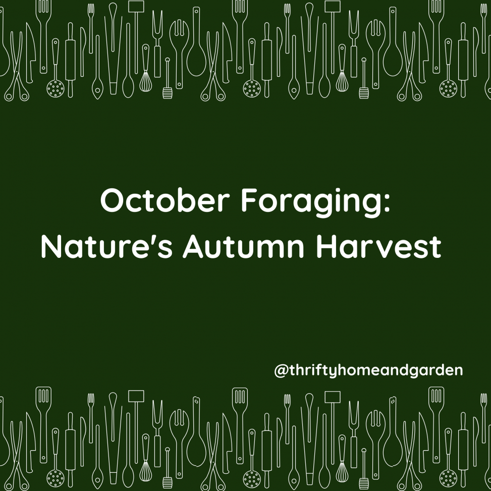 October Foraging: Nature's Autumn Harvest