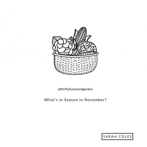 What’s in Season in November?