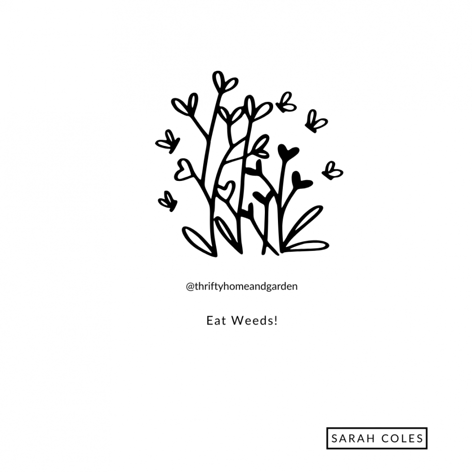 Eat Weeds