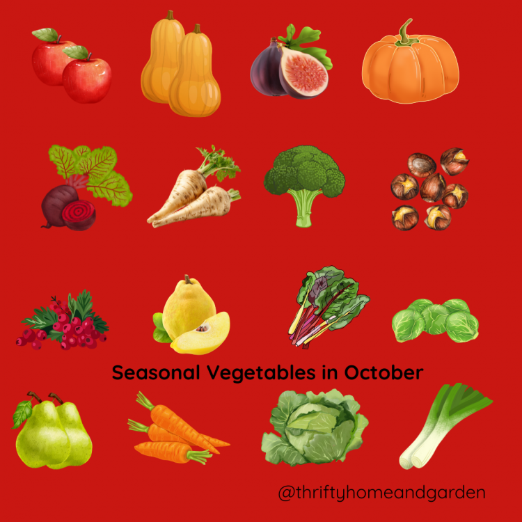 Seasonal Vegetables in October. Apples, Butternut Squash, Figs, Pumpkin, Beetroot, Parsnips, Broccoli, Sweet Chestnuts, Cranberries, Pears, Swiss Chard, Brussel Sprouts, Quince, Carrots, Cabbage Leeks.
