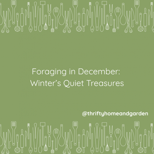Foraging in December. Winter's Quiet Treasures @thriftyhomeandgarden