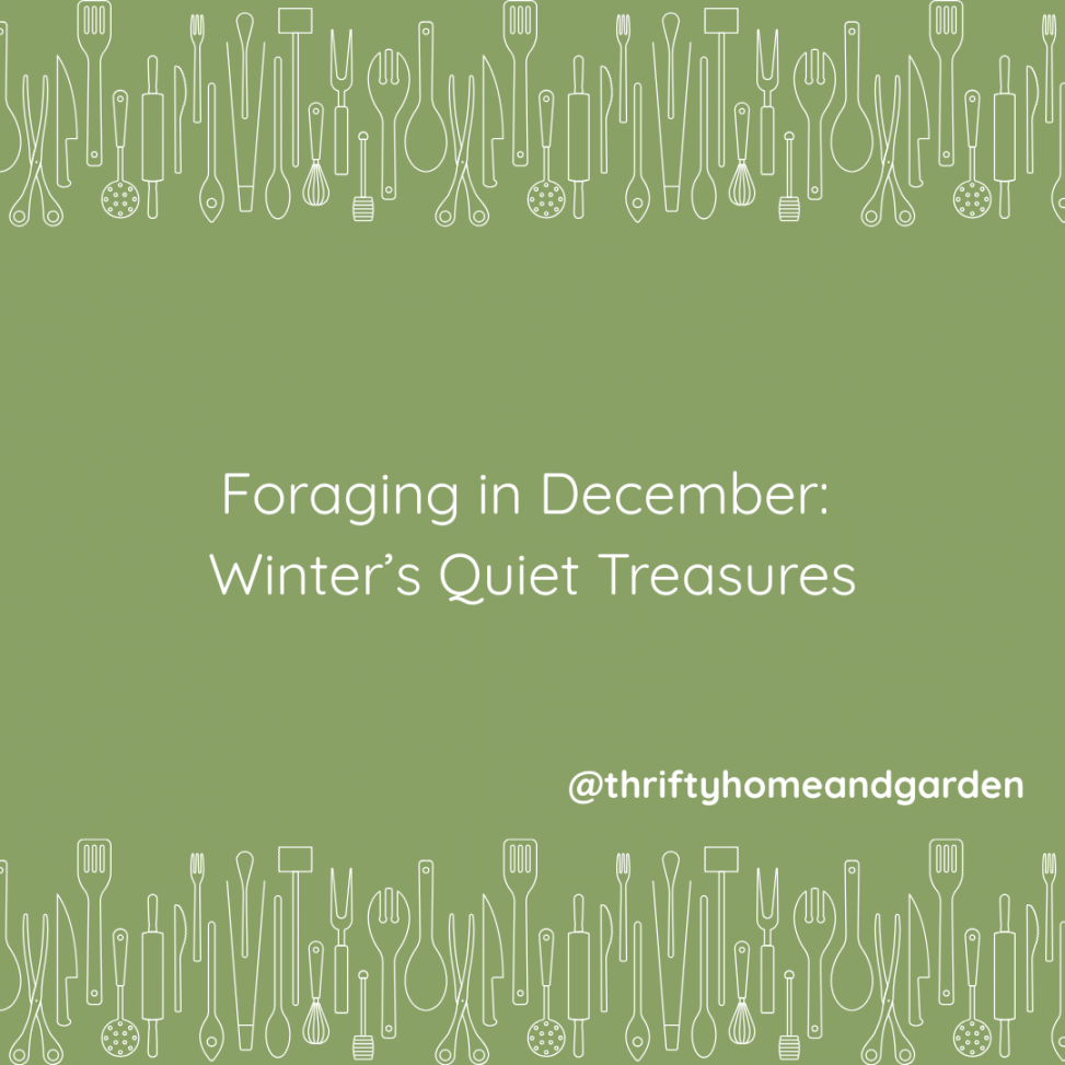 Foraging in December. Winter's Quiet Treasures @thriftyhomeandgarden