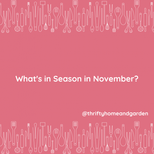 What's in Season in November?