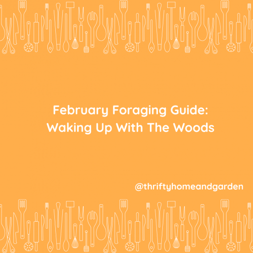 February’s Harvest: Discover What’s in Season This Month