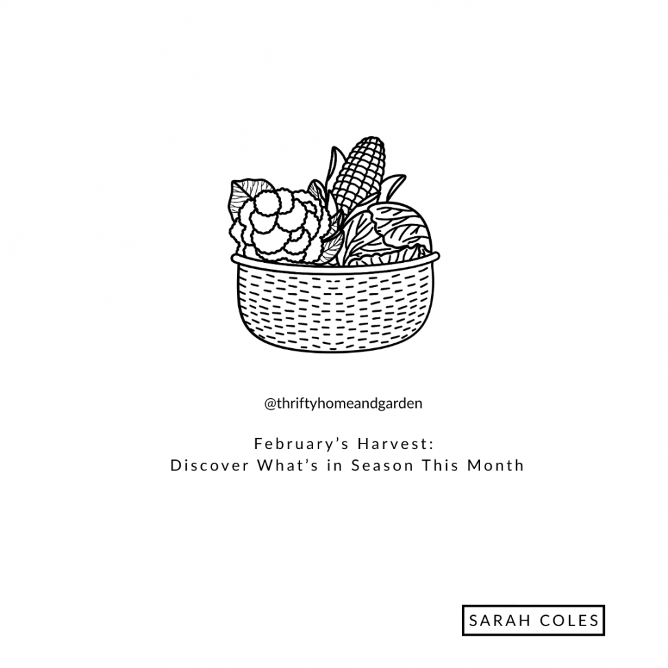 February’s Harvest: Discover What’s in Season This Month