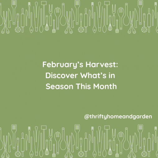 February’s Harvest: Discover What’s in Season This Month