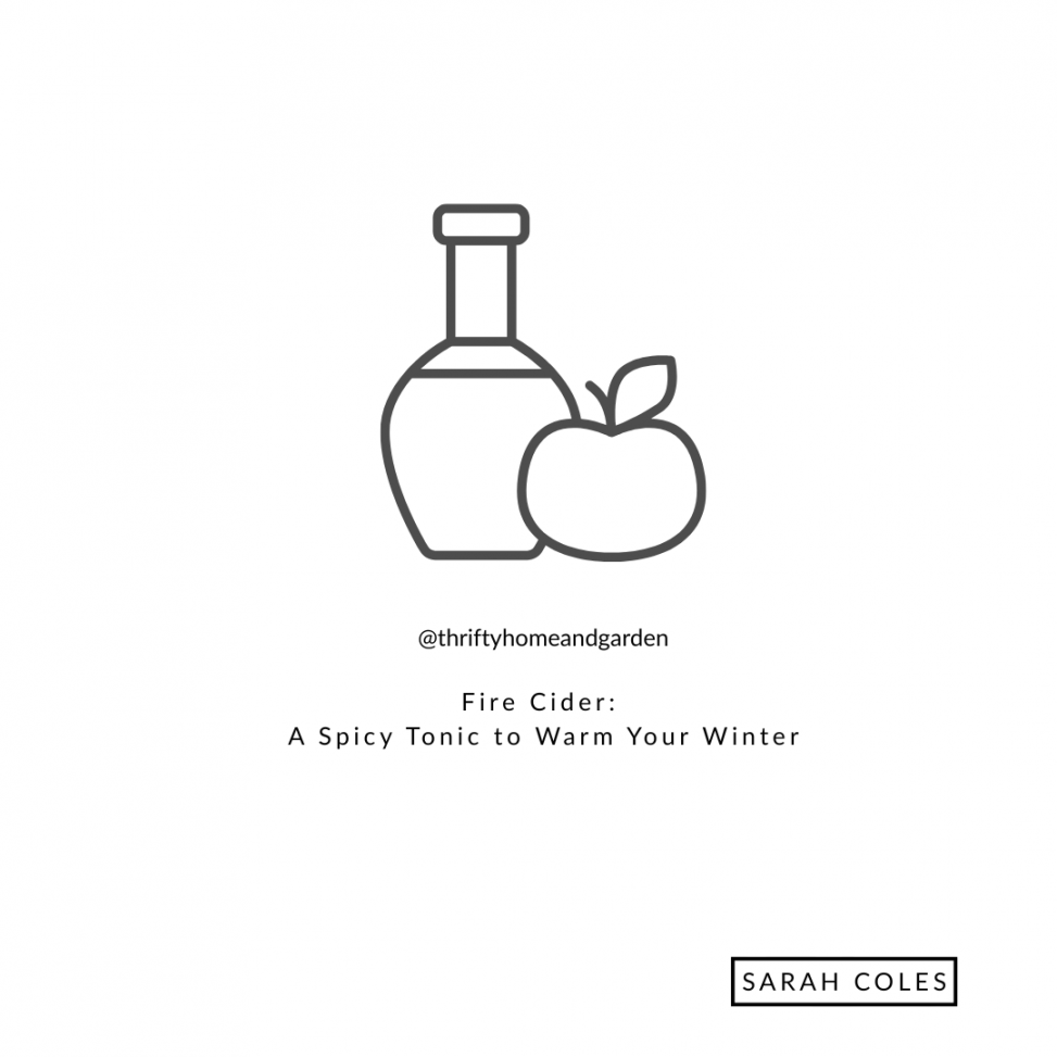 Fire Cider: A Spicy Tonic to Warm Your Winter