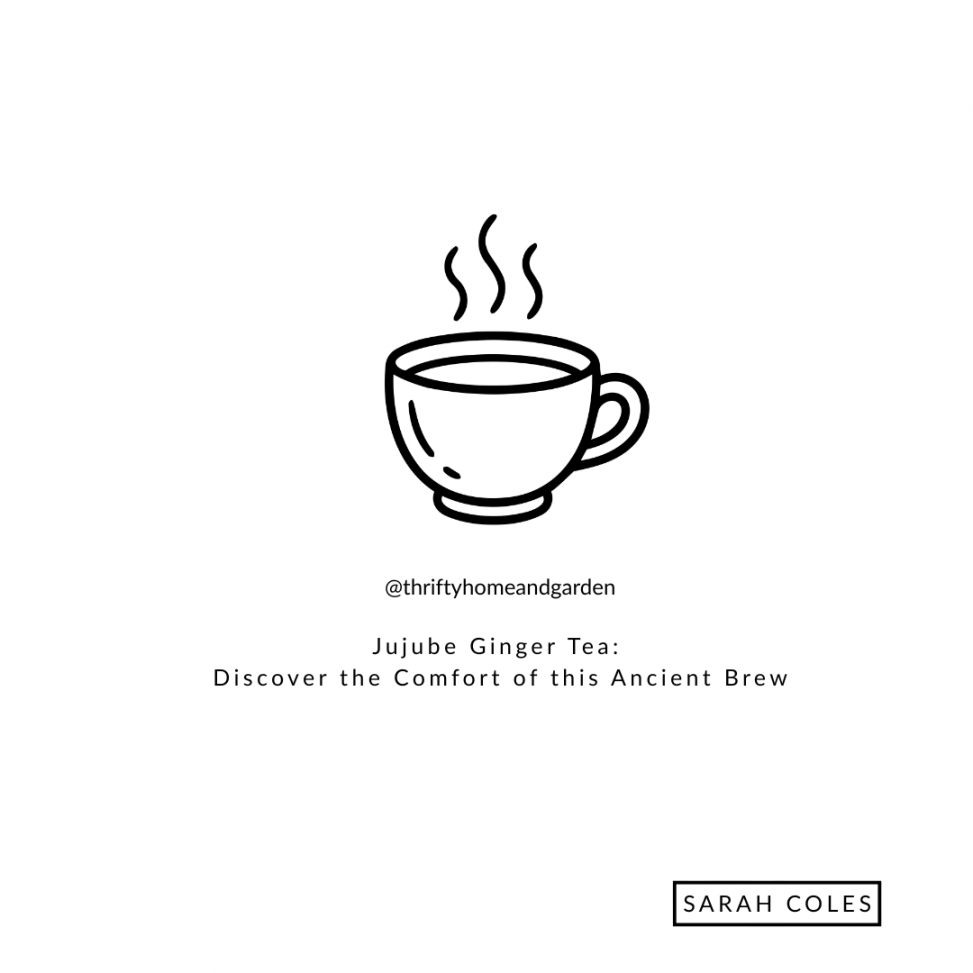 Jujube Ginger Tea: Discover the Comfort of this Ancient Brew