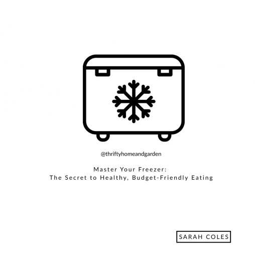 Master Your Freezer: The Secret to Healthy, Budget-Friendly Eating