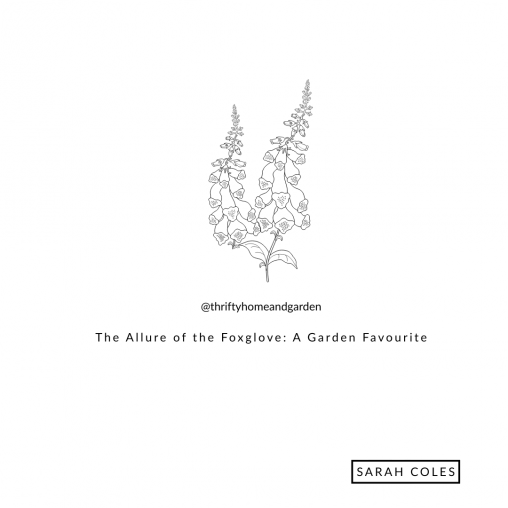 The Allure of the Foxglove: A Garden Favourite