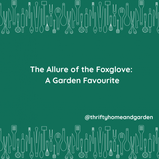 The Allure of the Foxglove: A Garden Favourite