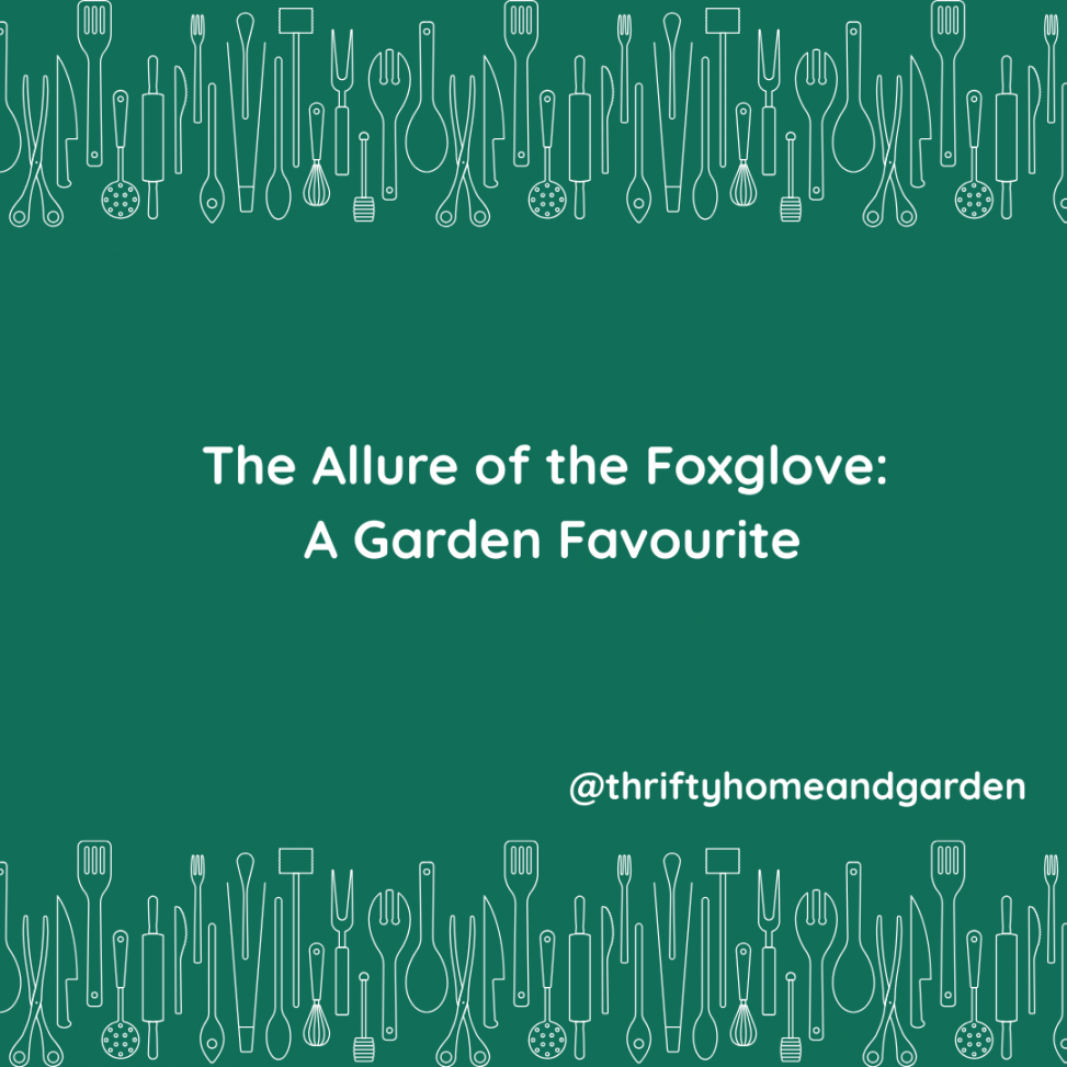 The Allure of the Foxglove: A Garden Favourite