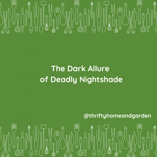 The Dark Allure of Deadly Nightshade