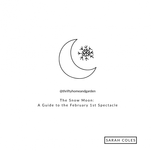The Snow Moon: A Guide to the February 1st Spectacle