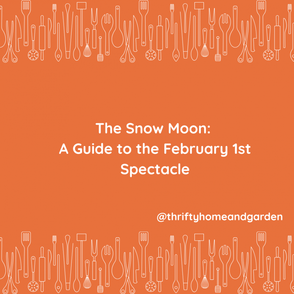 The Snow Moon: A Guide to the February 1st Spectacle