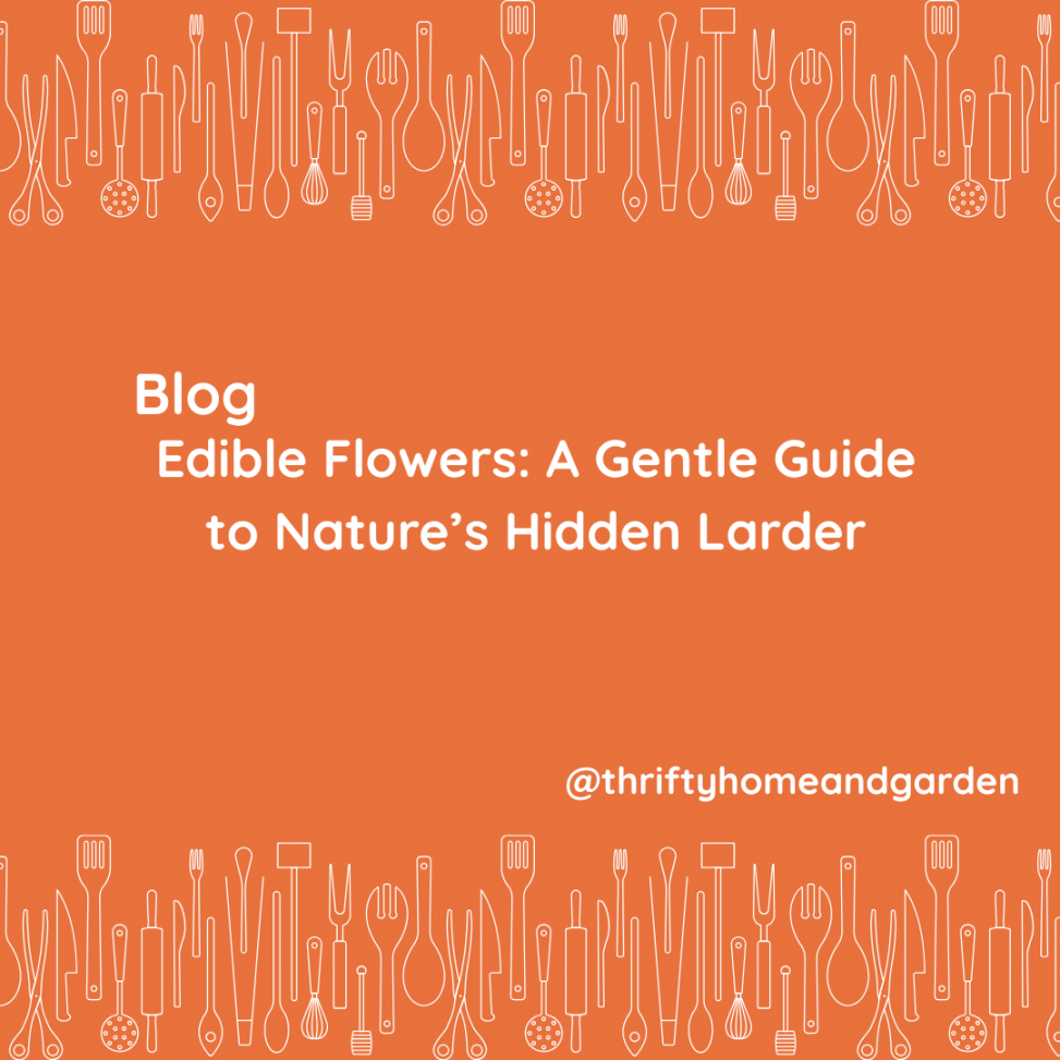 Blog Post - Edible Flowers: A Gentle Guide to Nature’s Hidden Larder @thriftyhomeandgarden