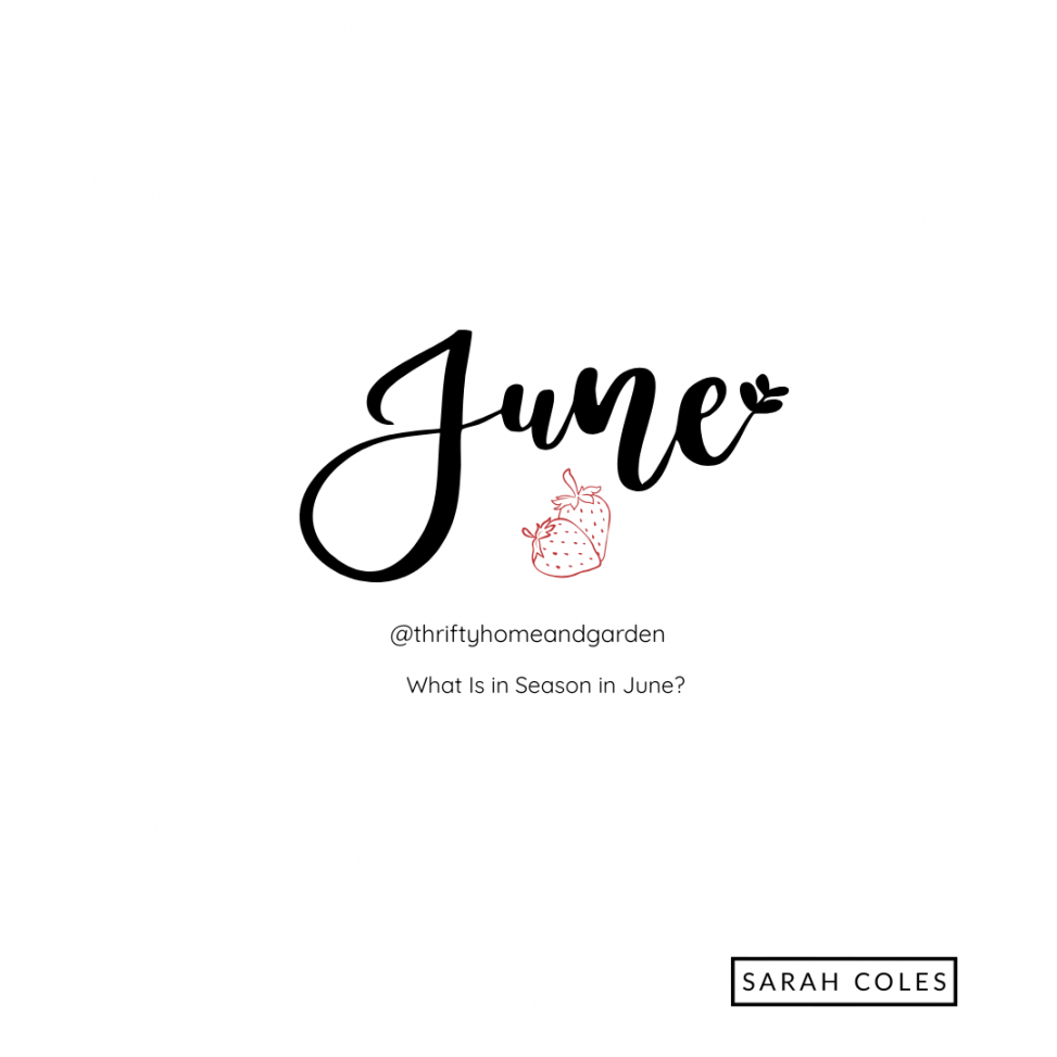 What Is in Season in June?