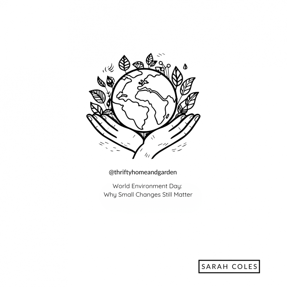 World Environment Day: Why Small Changes Still Matter