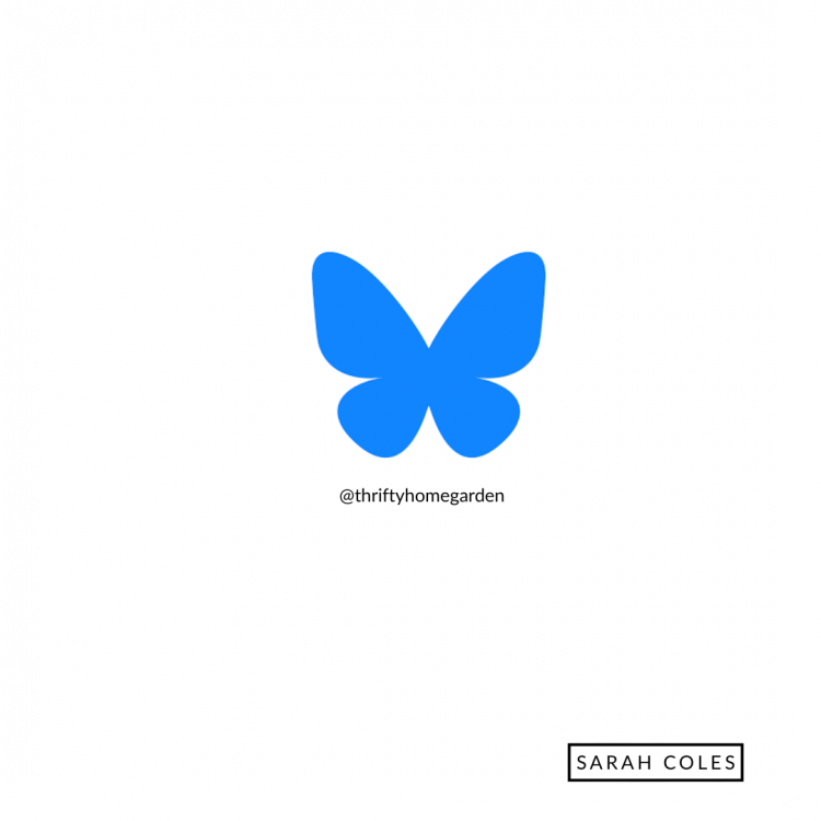bluesky @thriftyhomegarden.bsky.social