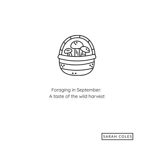 Foraging in September: a taste of the wild harvest