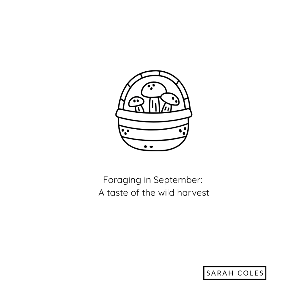 Foraging in September: a taste of the wild harvest