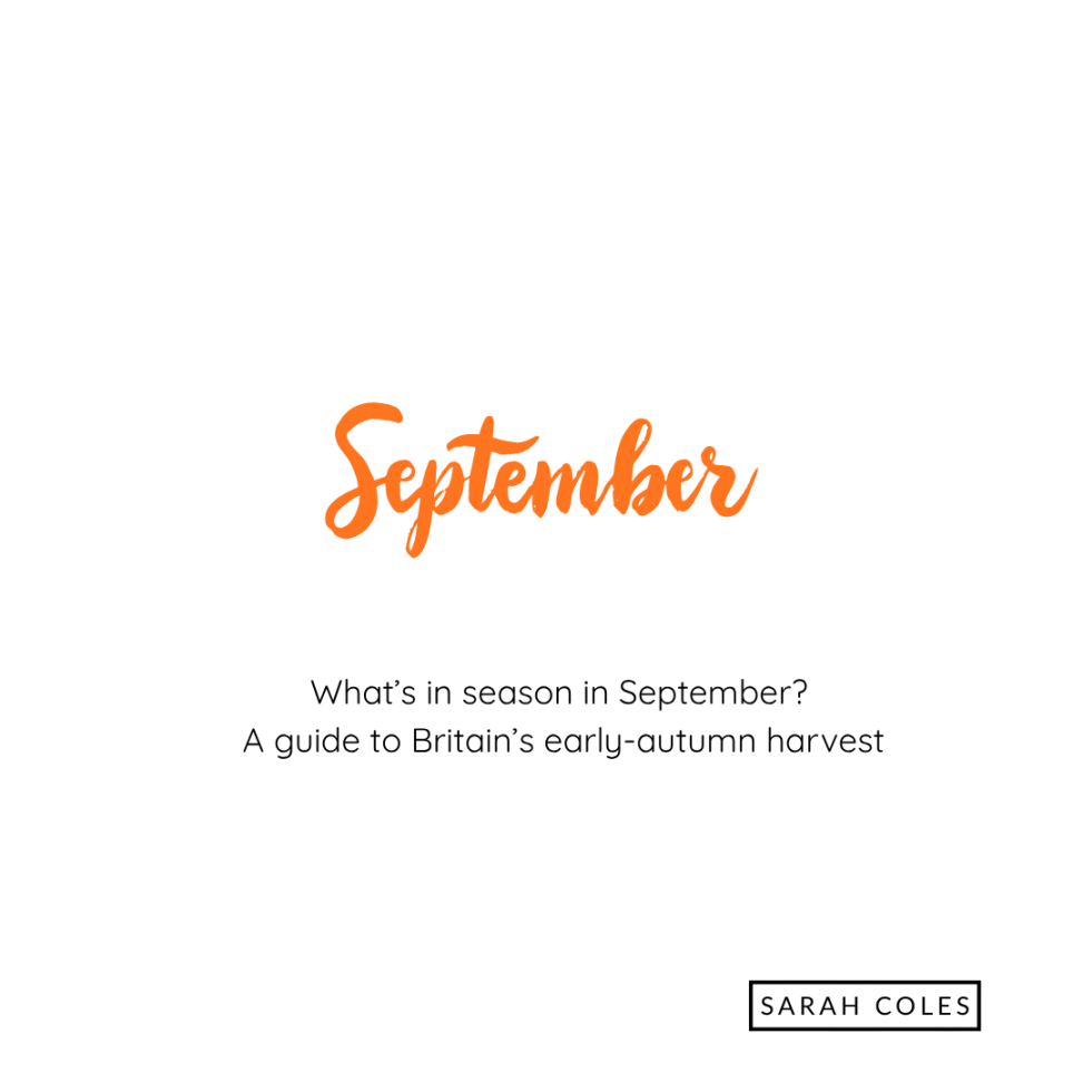 September. What’s in season in September? A guide to Britain’s early-autumn harvest