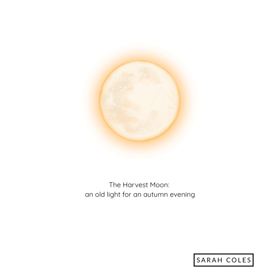 The Harvest Moon: an old light for an autumn evening