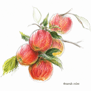 Colourful Sketch of October Bucket List:.© Sarah Coles