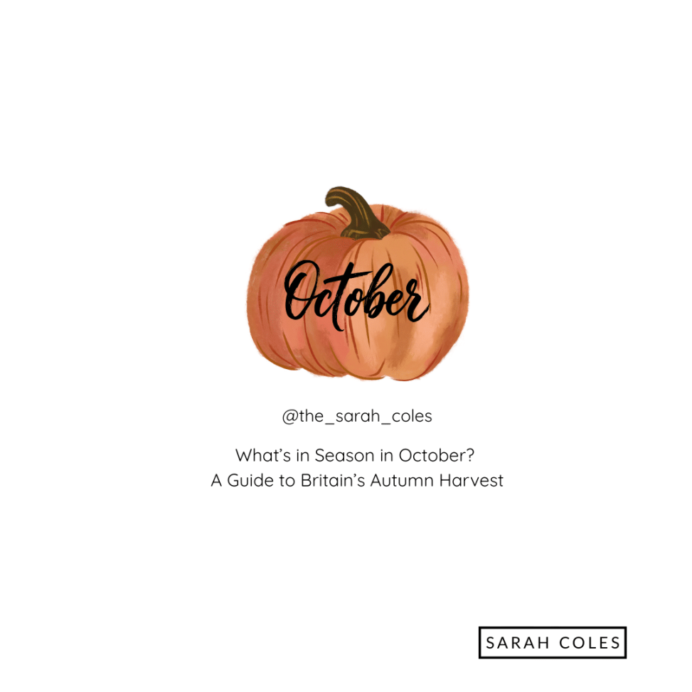 Colourful Pumpkin with October. What’s in Season in October? A Guide to Britain’s Autumn Harvest sarahcoles.co.uk